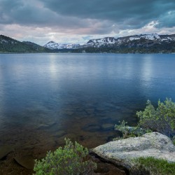 LWsnf0903