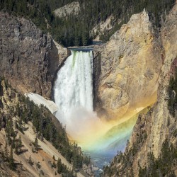 Lower Falls of the Yellowstone