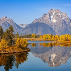 Teton Autumn Splendor