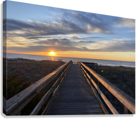 IMG 4544 Canvas Print