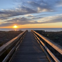 IMG 4544