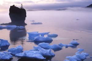blue dawn