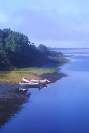 dories