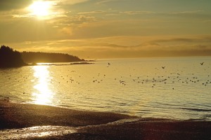 golden beach