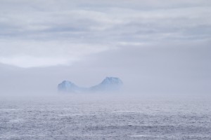 out of the fog