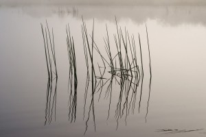 watery canvas