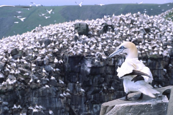 1st among equals Print