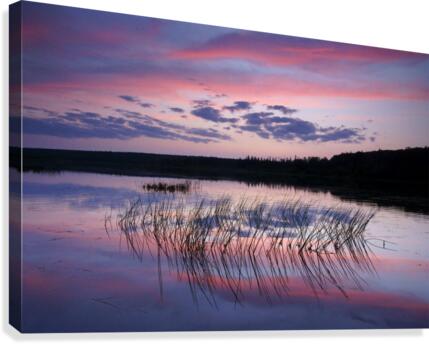 victoria river Canvas Print