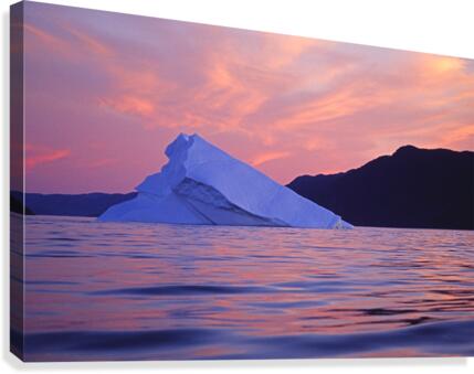 blue berg Canvas Print