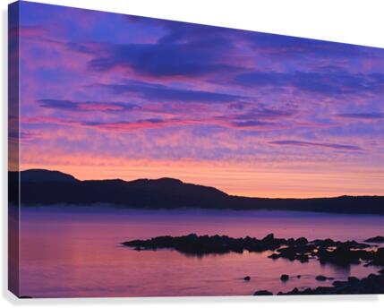 blue twilight Canvas Print