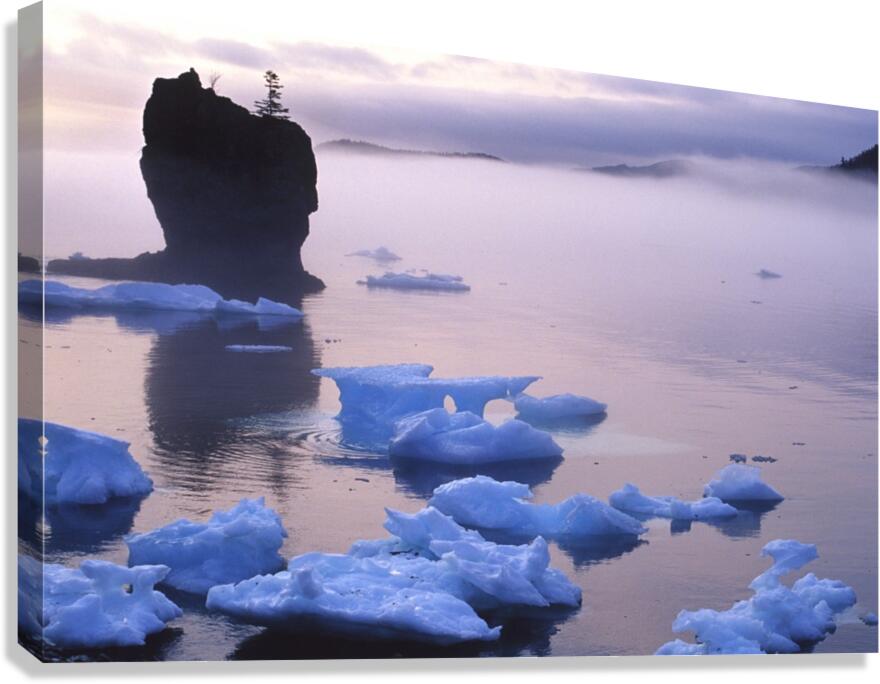 blue dawn Canvas Print