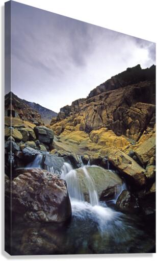 mountain stream Canvas Print