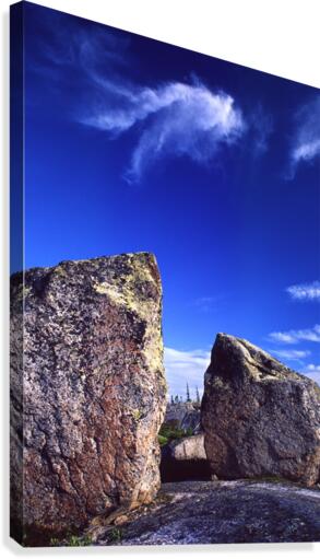erratics Canvas Print