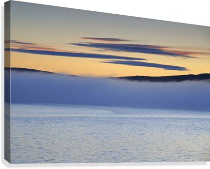 fog Canvas Print