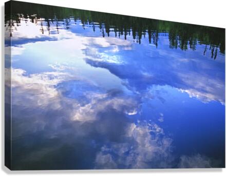 water colour Canvas Print