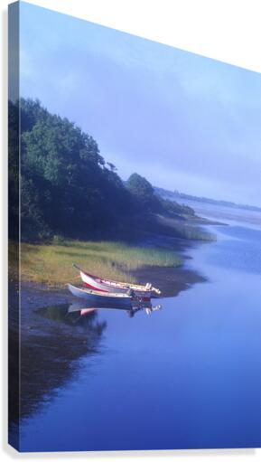 dories Canvas Print