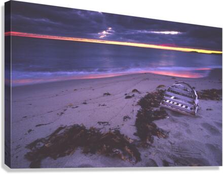 beached Canvas Print