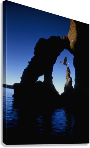 domain Canvas Print