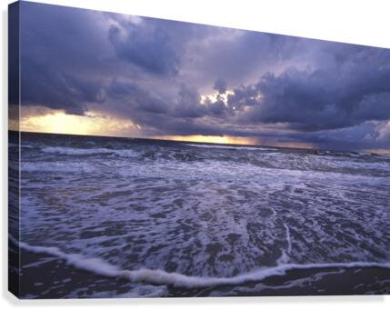storm bringer Canvas Print