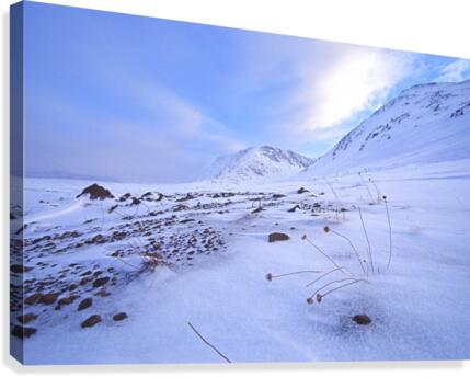 resilience Canvas Print