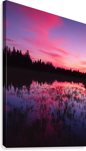 barneys brook Canvas Print