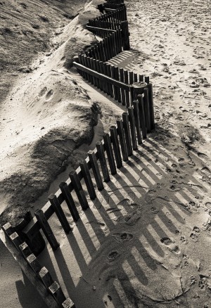 Thumpertown Beach 20