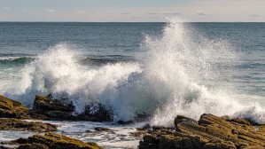 Prouts Neck 7