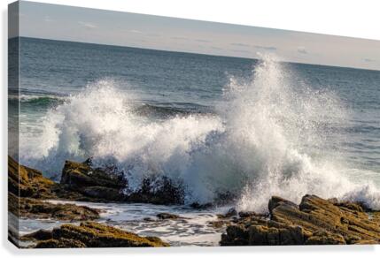 Prouts Neck 7 Canvas Print