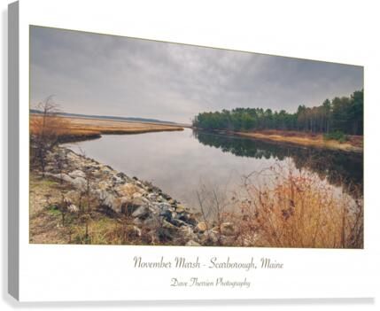 November Marsh Canvas Print