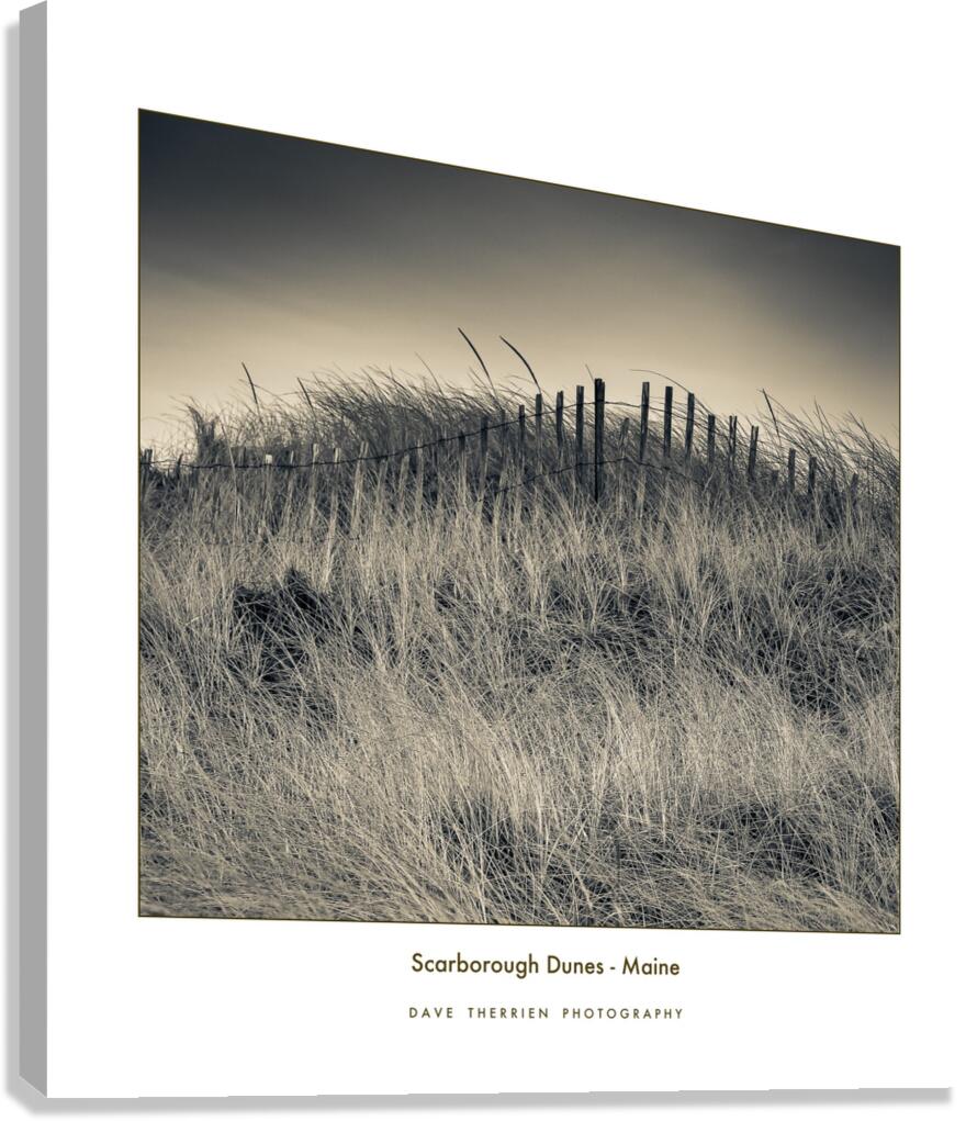 Scarborough Dunes Canvas Print