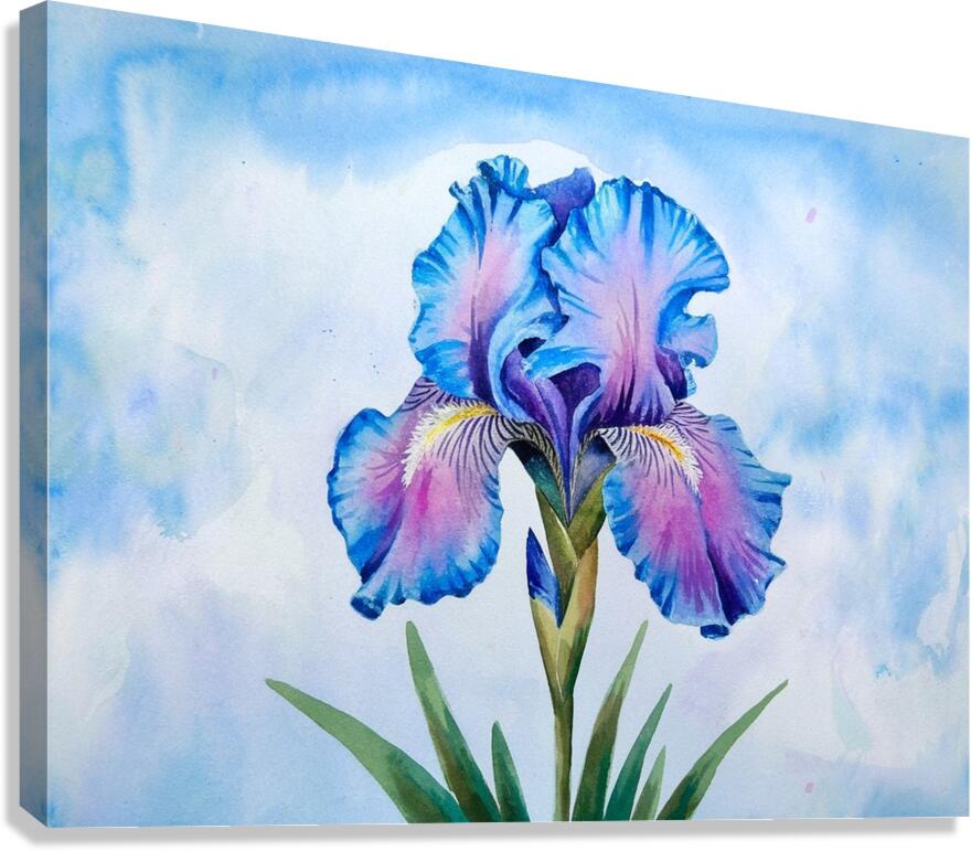 blue iris flower  Canvas Print