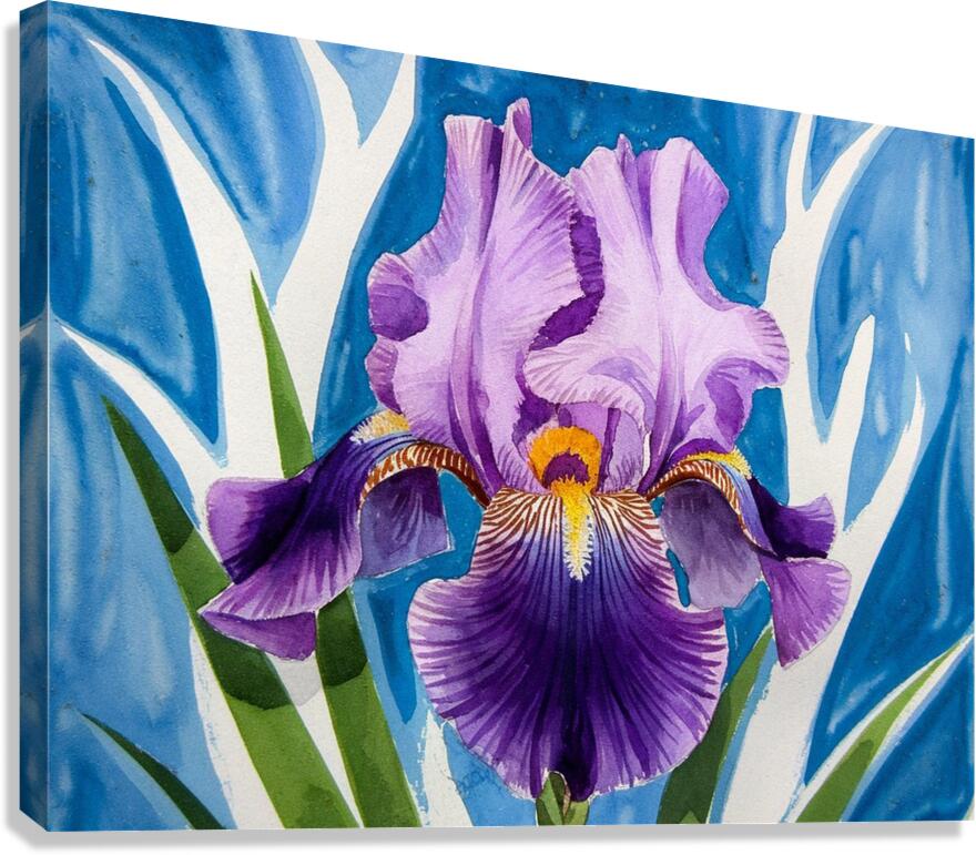  An iris flower3 Canvas Print