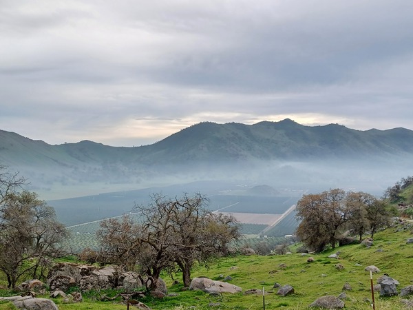 Above the Fog by Anitra K Acuna