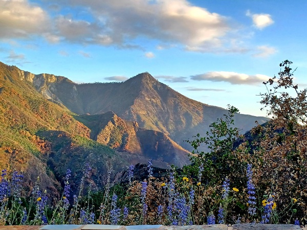 Hwy 198 Sequoia and Kings Canyon National Park  by Anitra K Acuna