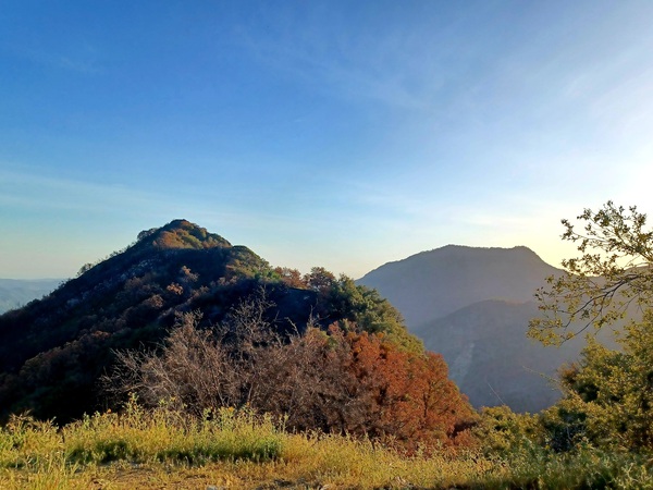 Hwy 198 Sequoia and Kings Canyon National Park  by Anitra K Acuna