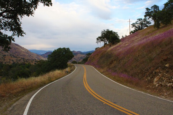 Elwood Rd. by Anitra K Acuna