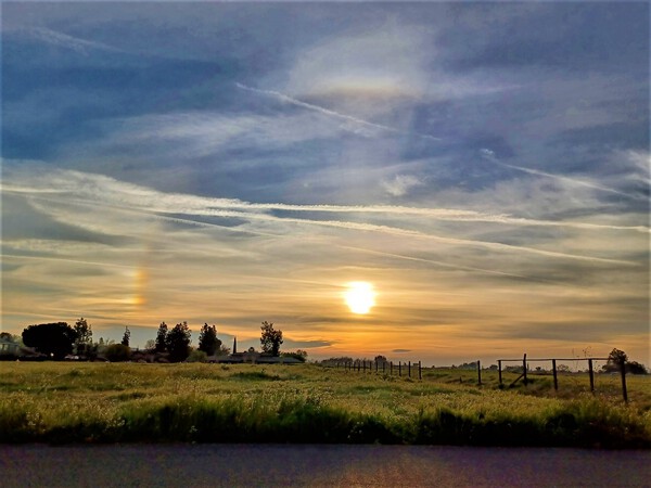 Sunbow by Anitra K Acuna