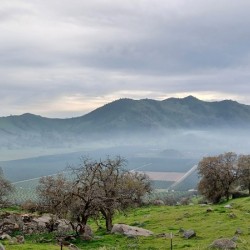 Above the Fog