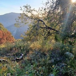 Hwy 198 Sequoia and Kings Canyon National Park 