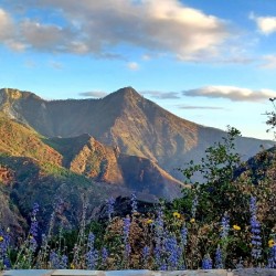Hwy 198 Sequoia and Kings Canyon National Park 