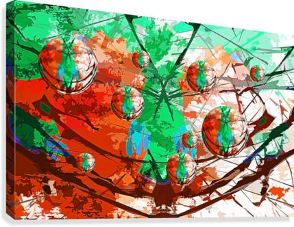 Astrum Canvas Print