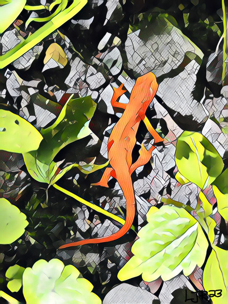 Geckos Hike by LJR