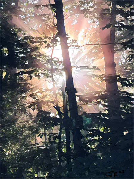 Woodland  peace  by LJR