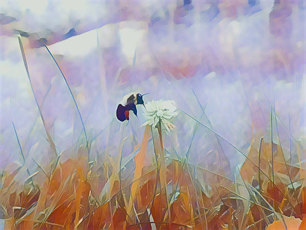 Working Bee.  Print
