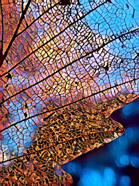 Leafs bones Print