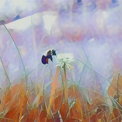Working Bee. 