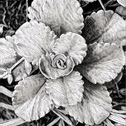 B-W 
