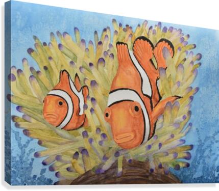 Clownfish Canvas Print