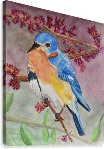 Eastern Bluebird  Canvas Print