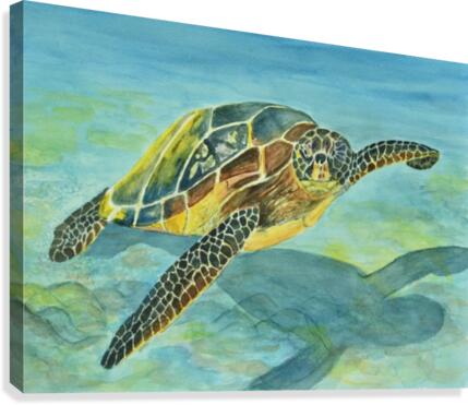 Sea Turtle Canvas Print